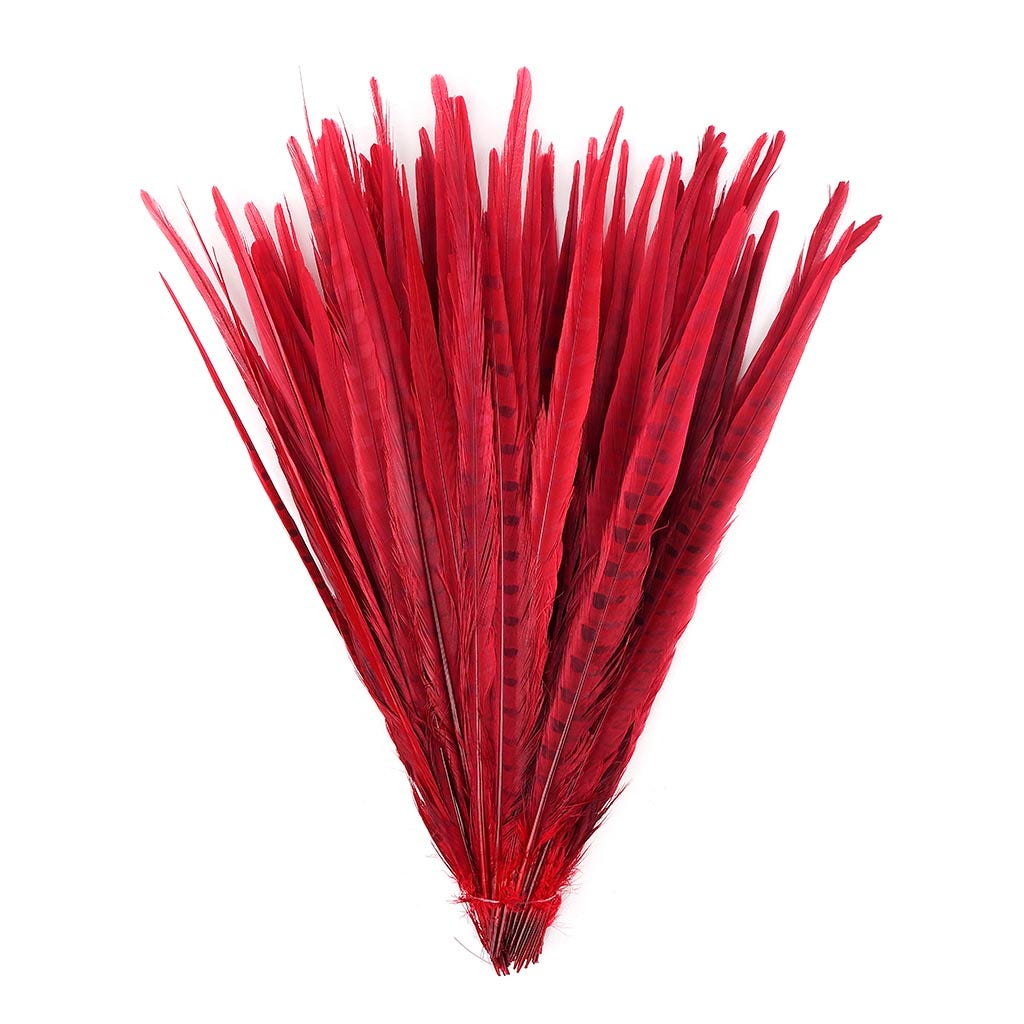 Assorted Pheasant Tails Dyed - Red - Feathers