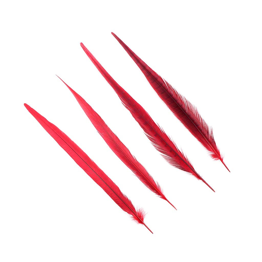 Assorted Pheasant Tails Dyed - Red - Feathers