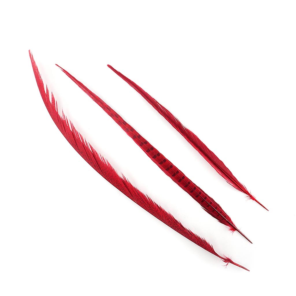 Assorted Pheasant Tails Dyed - Red - Feathers