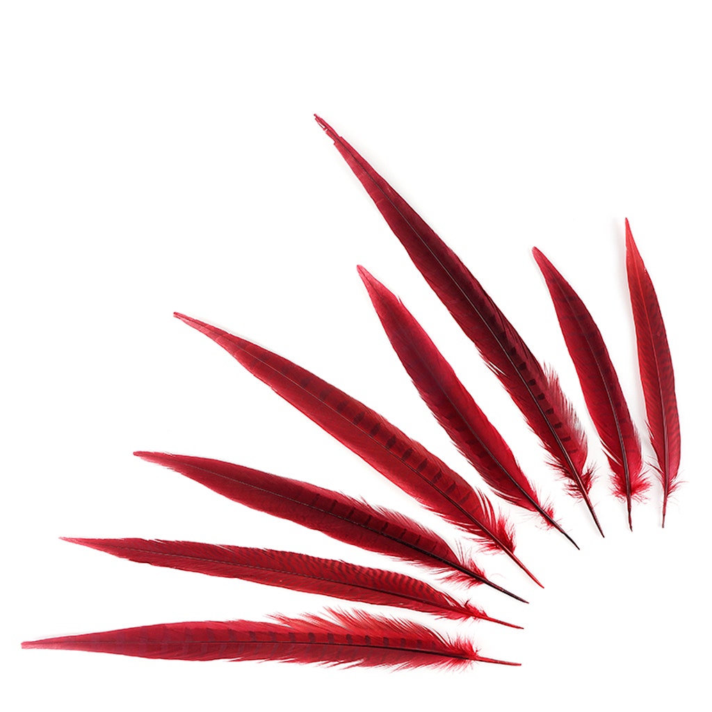 Assorted Pheasant Tails Dyed - Red - Feathers