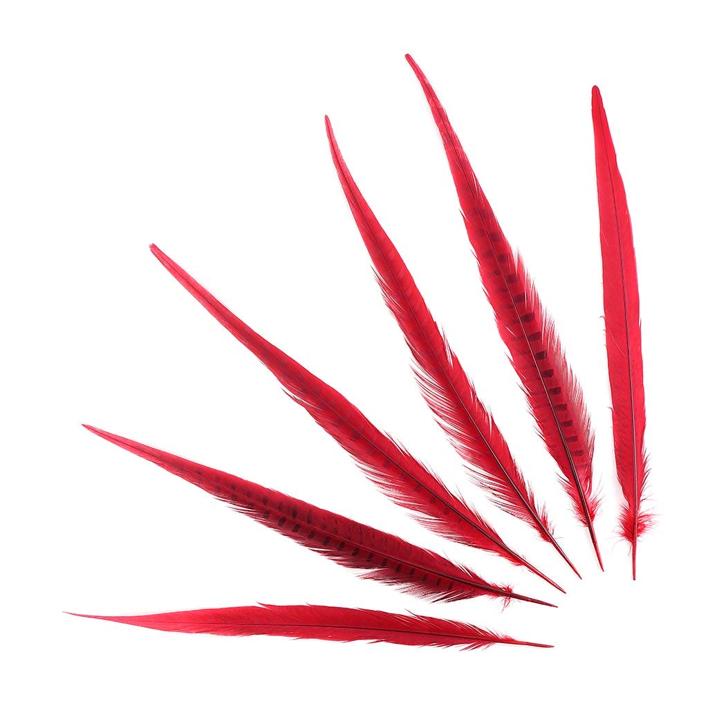 Assorted Pheasant Tails Dyed - Red - Feathers