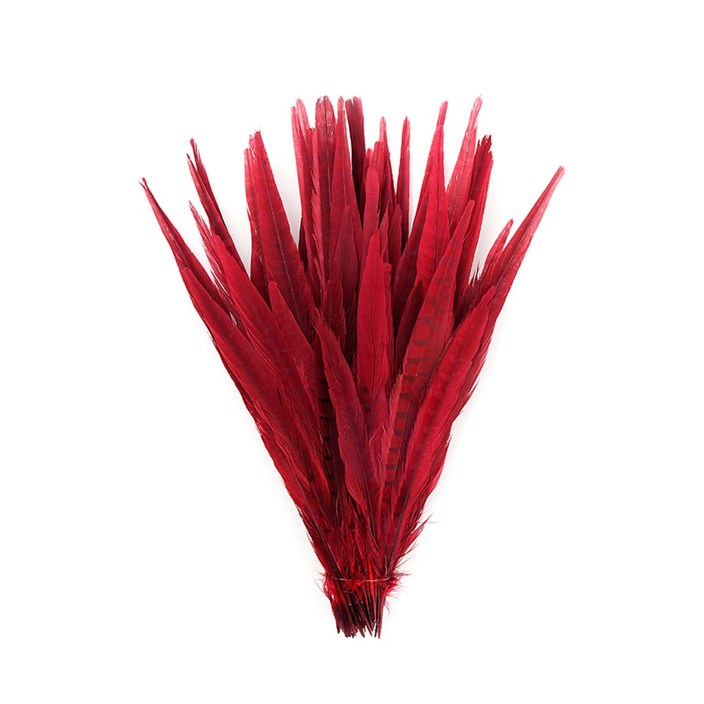 Assorted Pheasant Tails Dyed - Red - Feathers