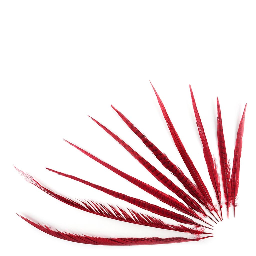 Assorted Pheasant Tails Dyed - Red - Feathers