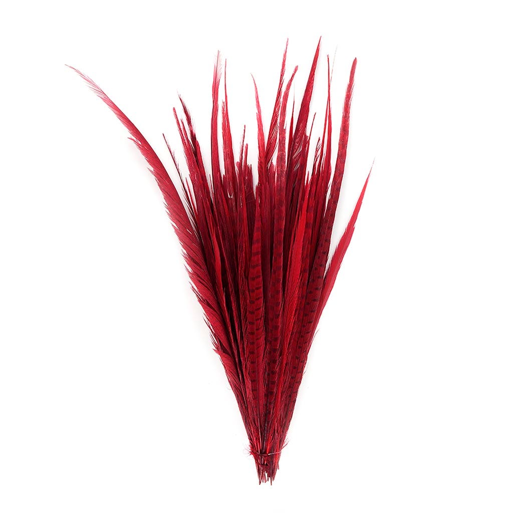 Assorted Pheasant Tails Dyed - Red - Feathers