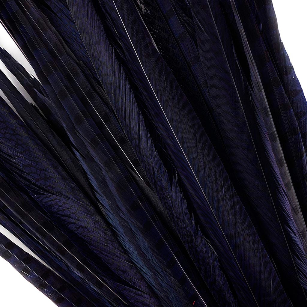 Assorted Pheasant Tails Dyed - Regal - Feathers