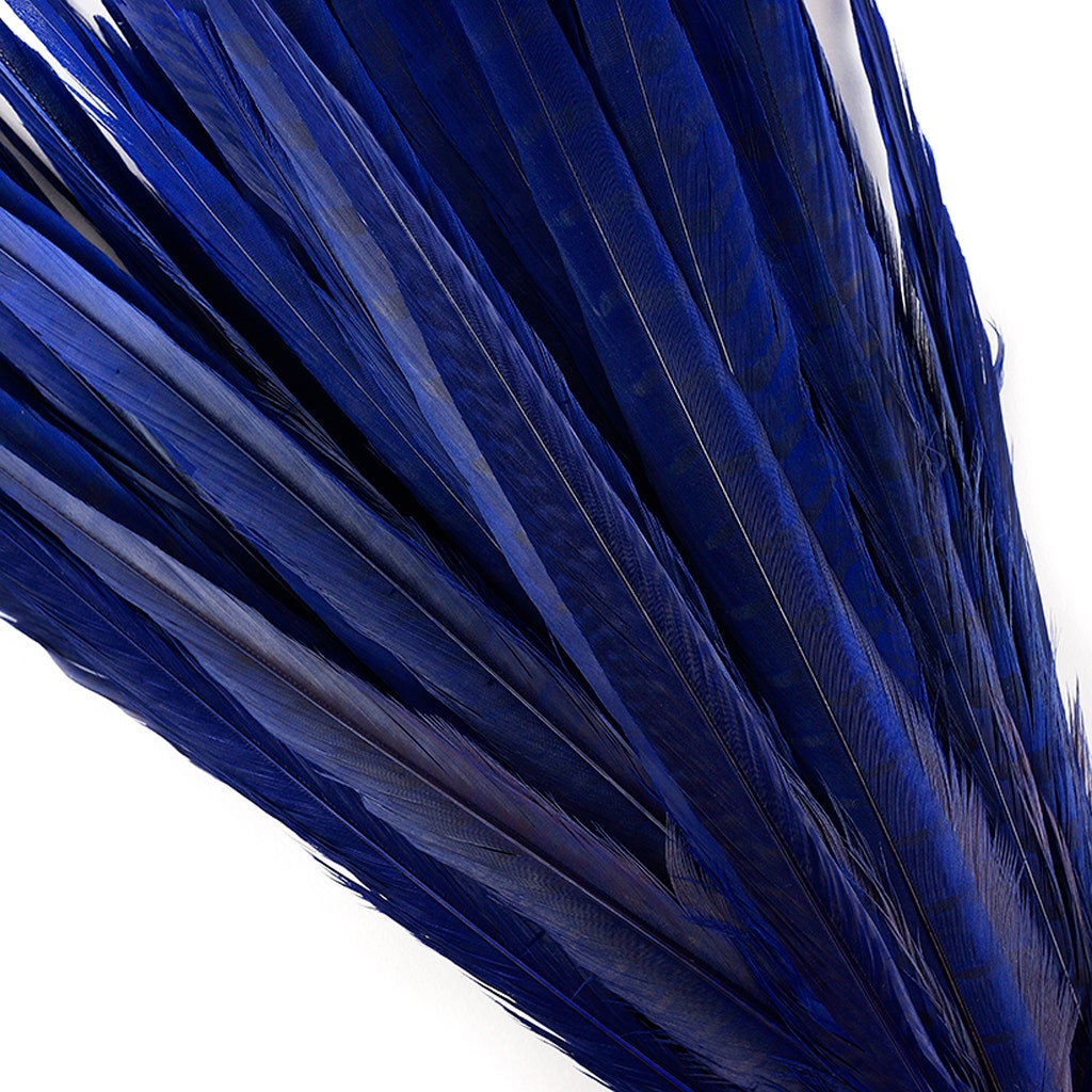 Assorted Pheasant Tails Dyed - Regal - Feathers