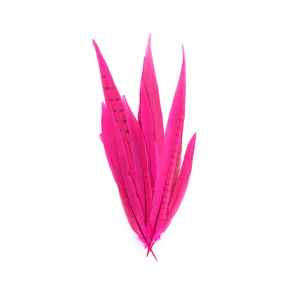 Assorted Pheasant Tails Dyed - Shocking Pink - Feathers