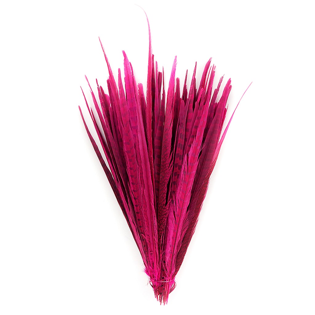 Assorted Pheasant Tails Dyed - Shocking Pink - Feathers