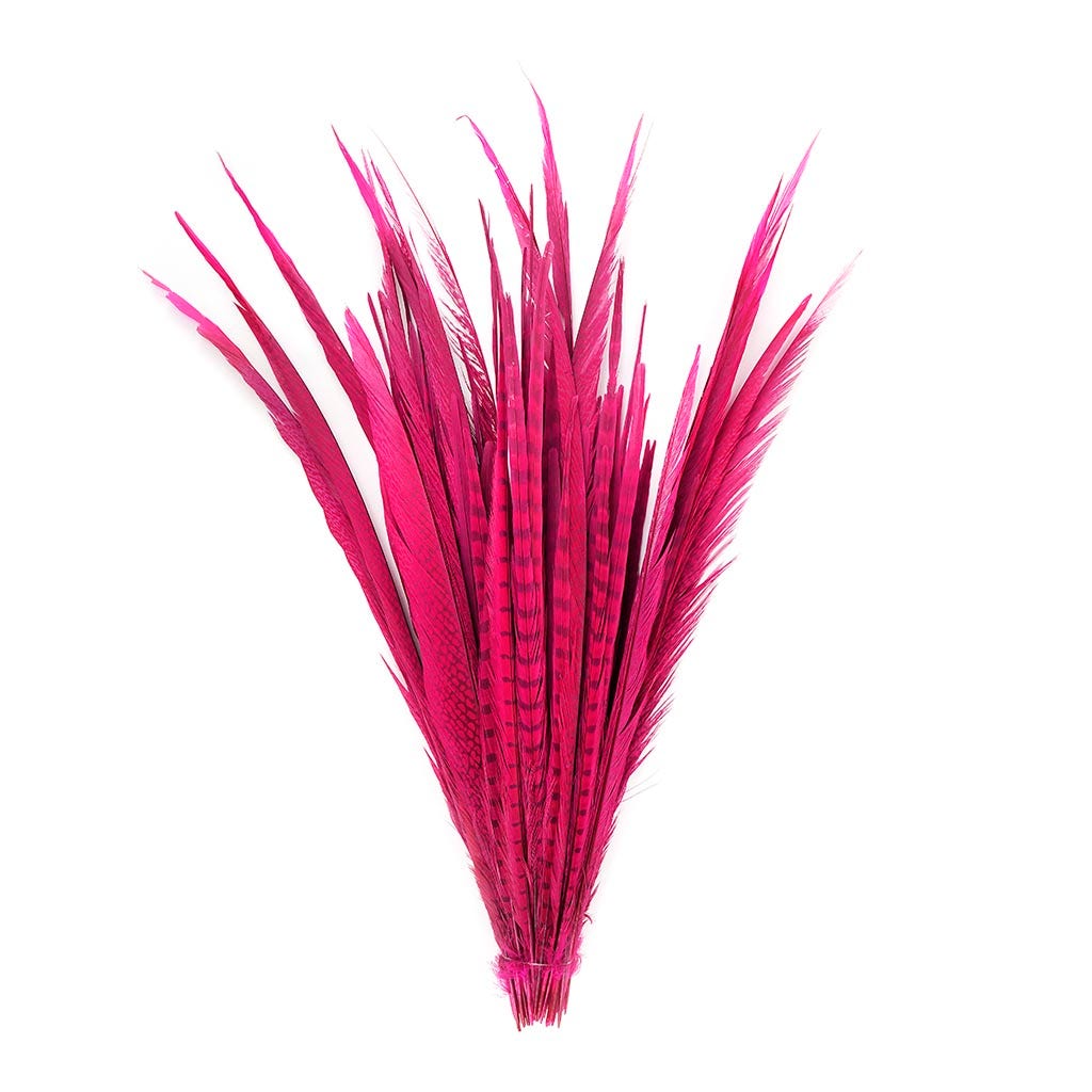 Assorted Pheasant Tails Dyed - Shocking Pink - Feathers