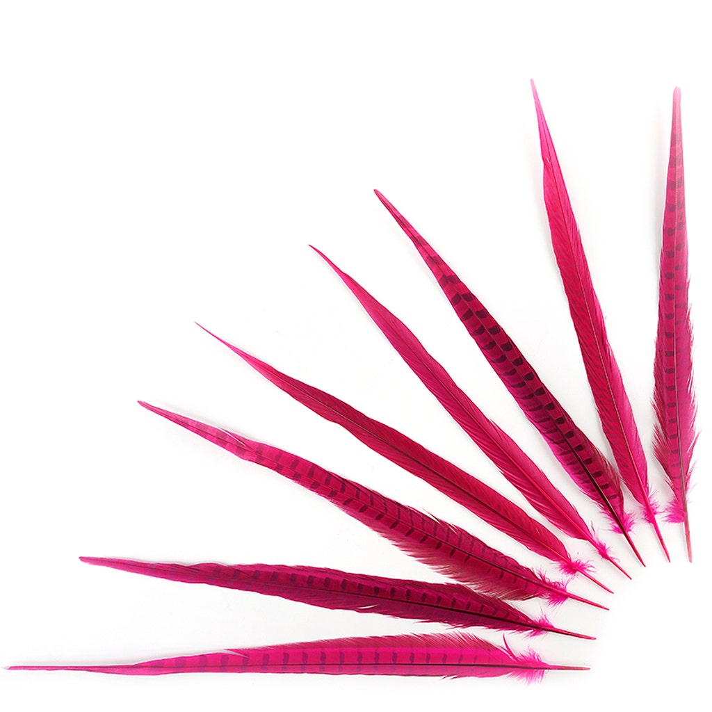 Assorted Pheasant Tails Dyed - Shocking Pink - Feathers