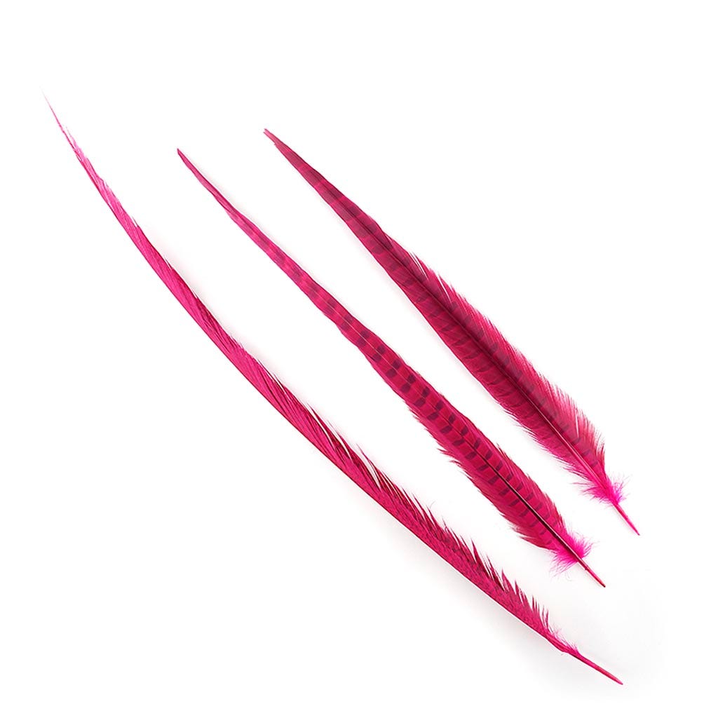 Assorted Pheasant Tails Dyed - Shocking Pink - Feathers