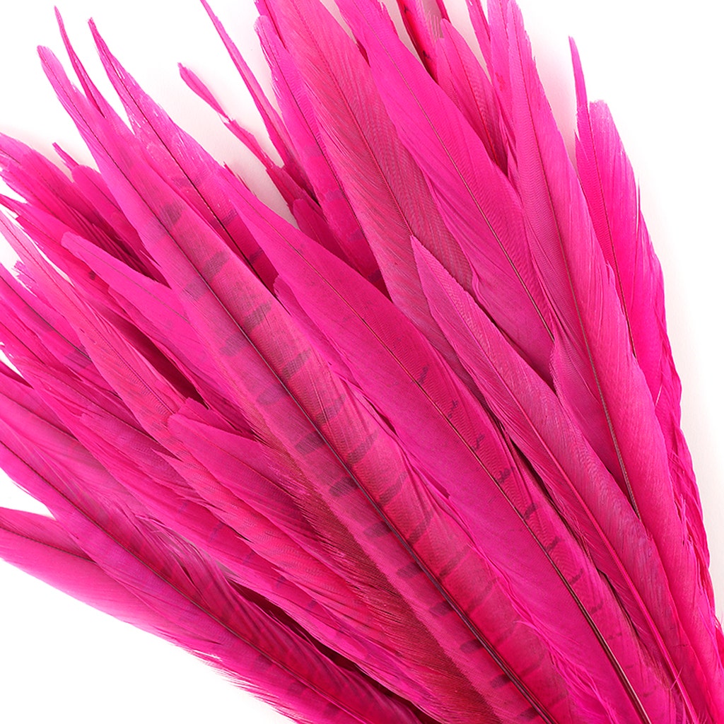 Assorted Pheasant Tails Dyed - Shocking Pink - Feathers