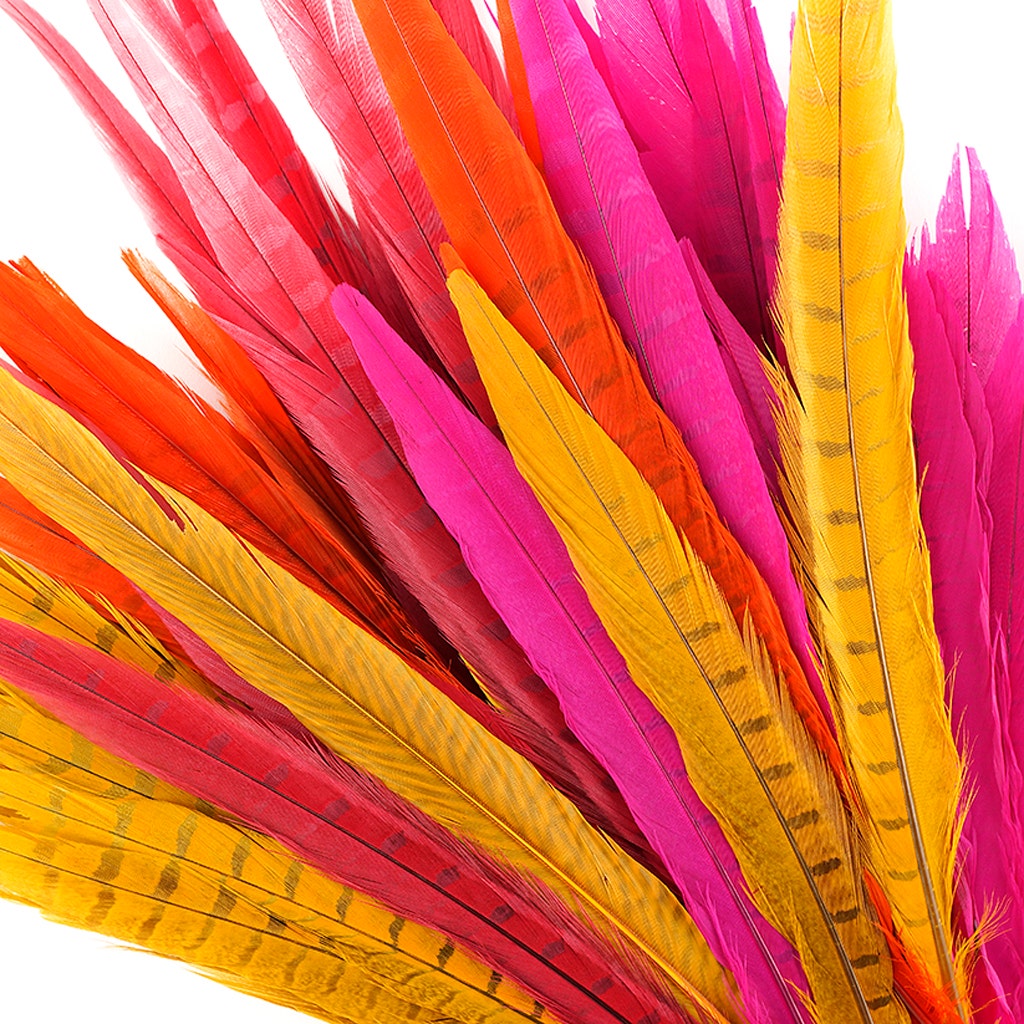 Assorted Pheasant Tails Mix Dyed - Fiesta Mix - Feathers