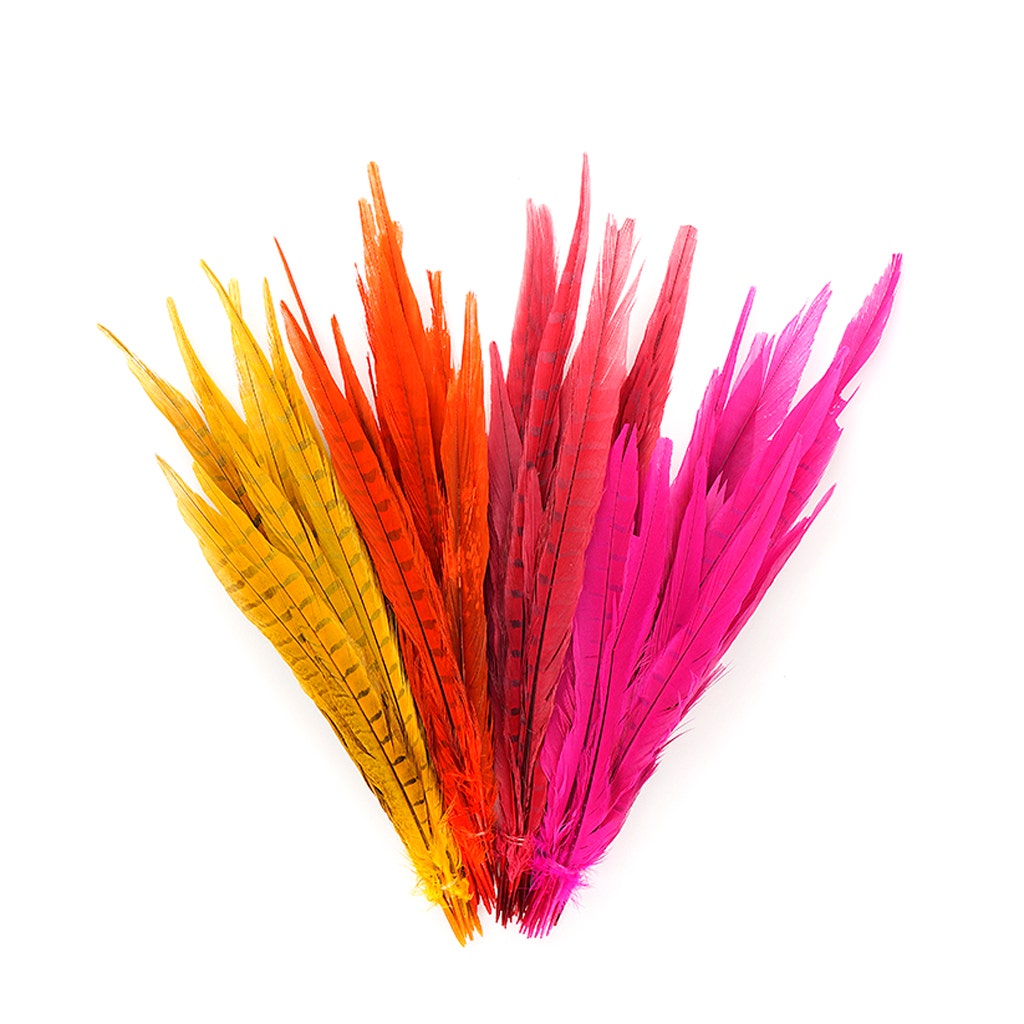 Assorted Pheasant Tails Mix Dyed - Fiesta Mix - Feathers