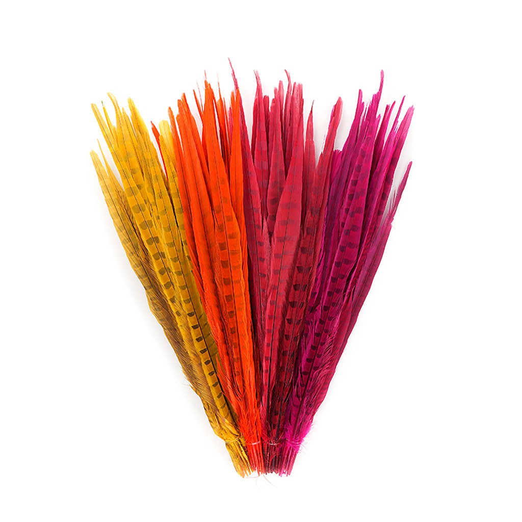 Assorted Pheasant Tails Mix Dyed - Fiesta Mix - Feathers