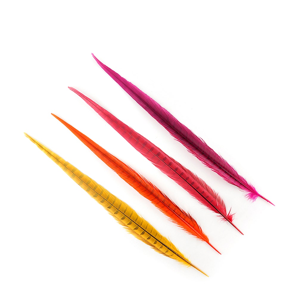 Assorted Pheasant Tails Mix Dyed - Fiesta Mix - Feathers