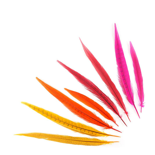 Assorted Pheasant Tails Mix Dyed FIESTA - Feathers