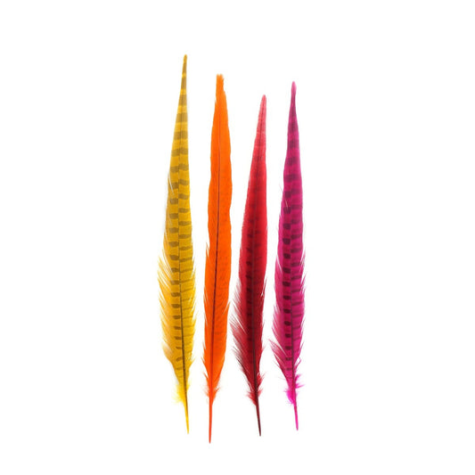 Assorted Pheasant Tails Mix Dyed FIESTA - Feathers