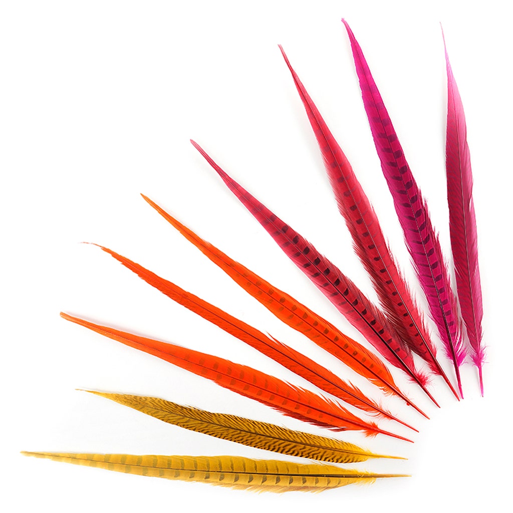 Assorted Pheasant Tails Mix Dyed - Fiesta Mix - Feathers