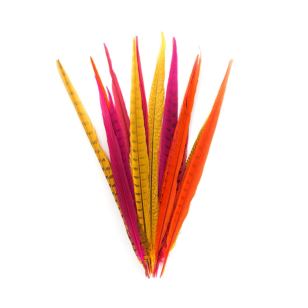 Assorted Pheasant Tails Mix Dyed - Fiesta Mix - Feathers