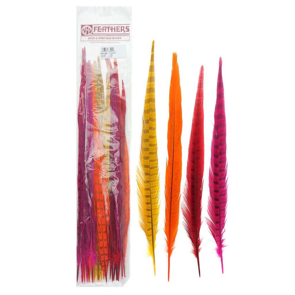 Assorted Pheasant Tails Mix Dyed FIESTA - Feathers