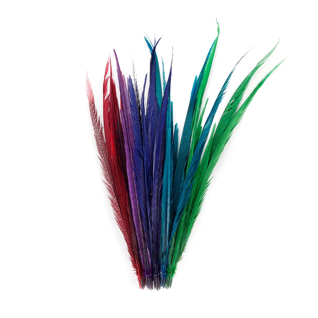 Assorted Pheasant Tails Mix Dyed - Gem Mix - Feathers