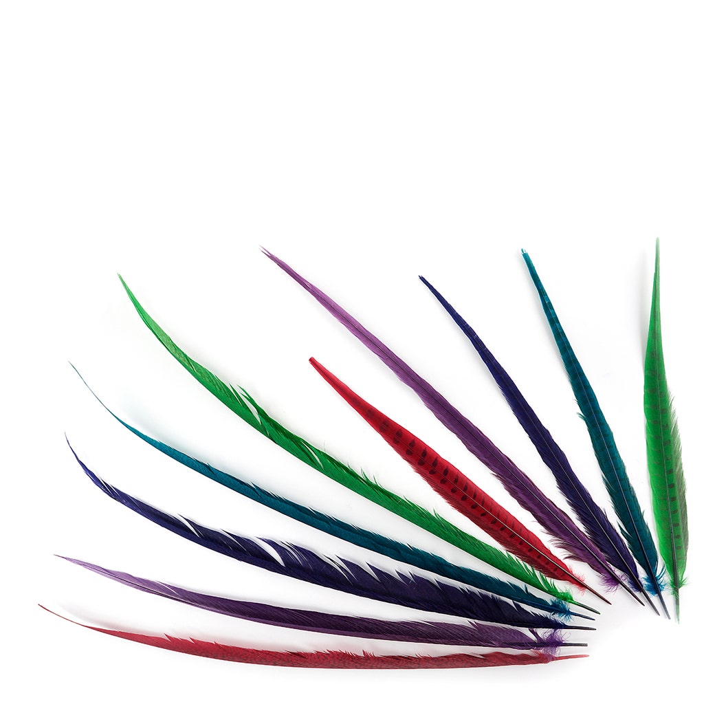 Assorted Pheasant Tails Mix Dyed - Gem Mix - Feathers