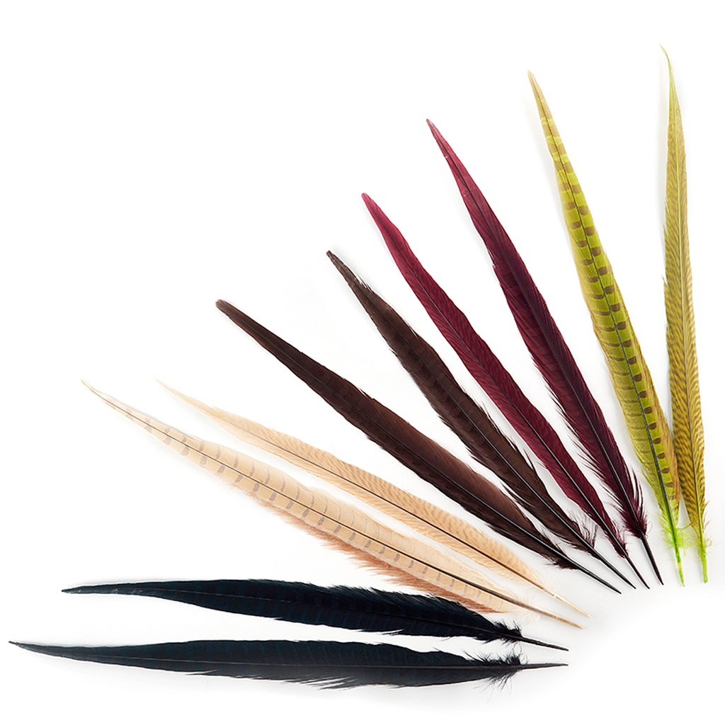 Assorted Pheasant Tails Mix Dyed - Harvest Mix - Feathers