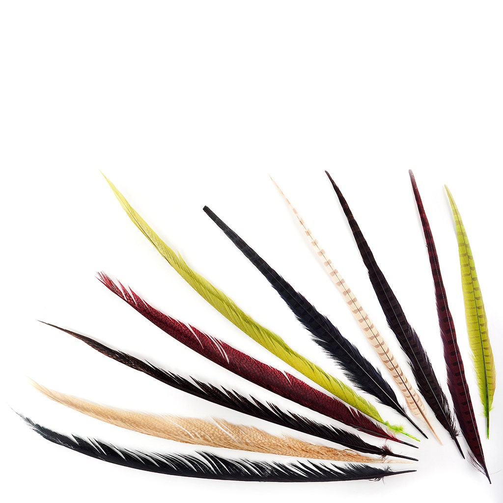 Assorted Pheasant Tails Mix Dyed - Harvest Mix - Feathers