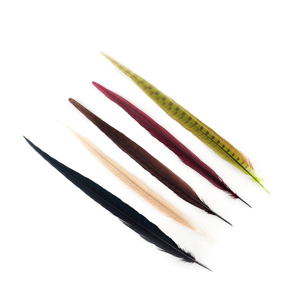 Assorted Pheasant Tails Mix Dyed - Harvest Mix - Feathers