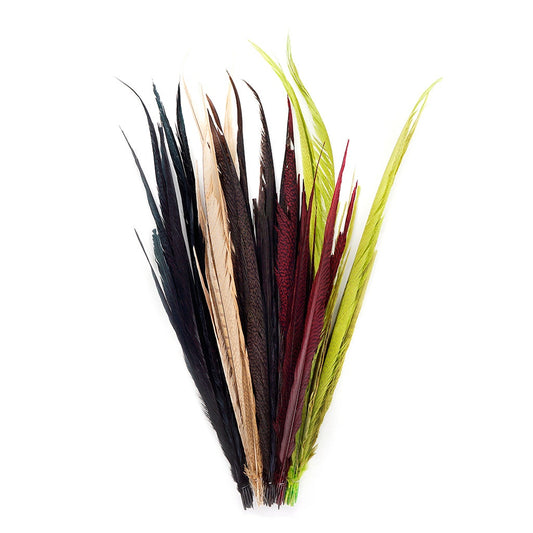 Assorted Pheasant Tails Mix Dyed - Harvest Mix - Feathers