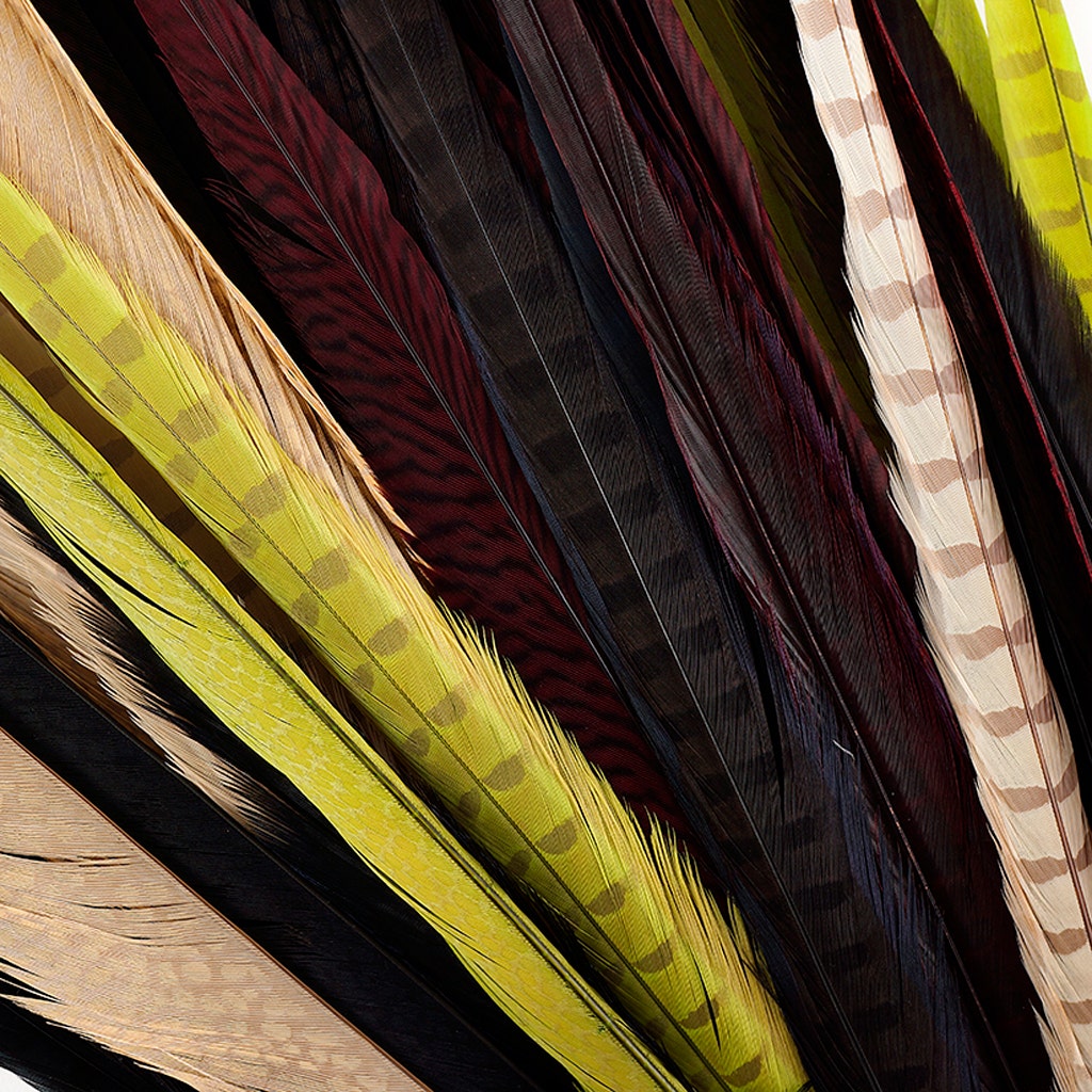 Assorted Pheasant Tails Mix Dyed - Harvest Mix - Feathers