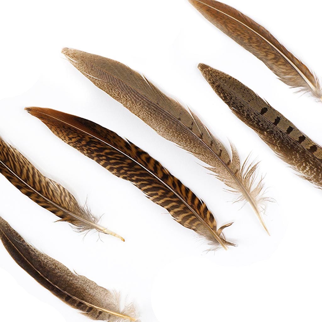 Assorted Pheasant Tails - Natural - 4 - 8’’ - Feathers