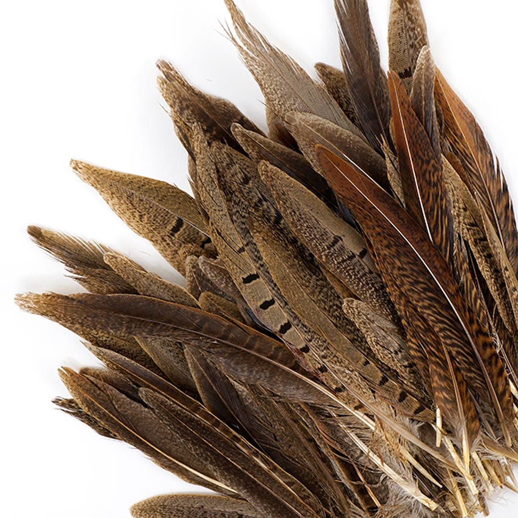 Assorted Pheasant Tails - Natural - 4 - 8’’ - Feathers