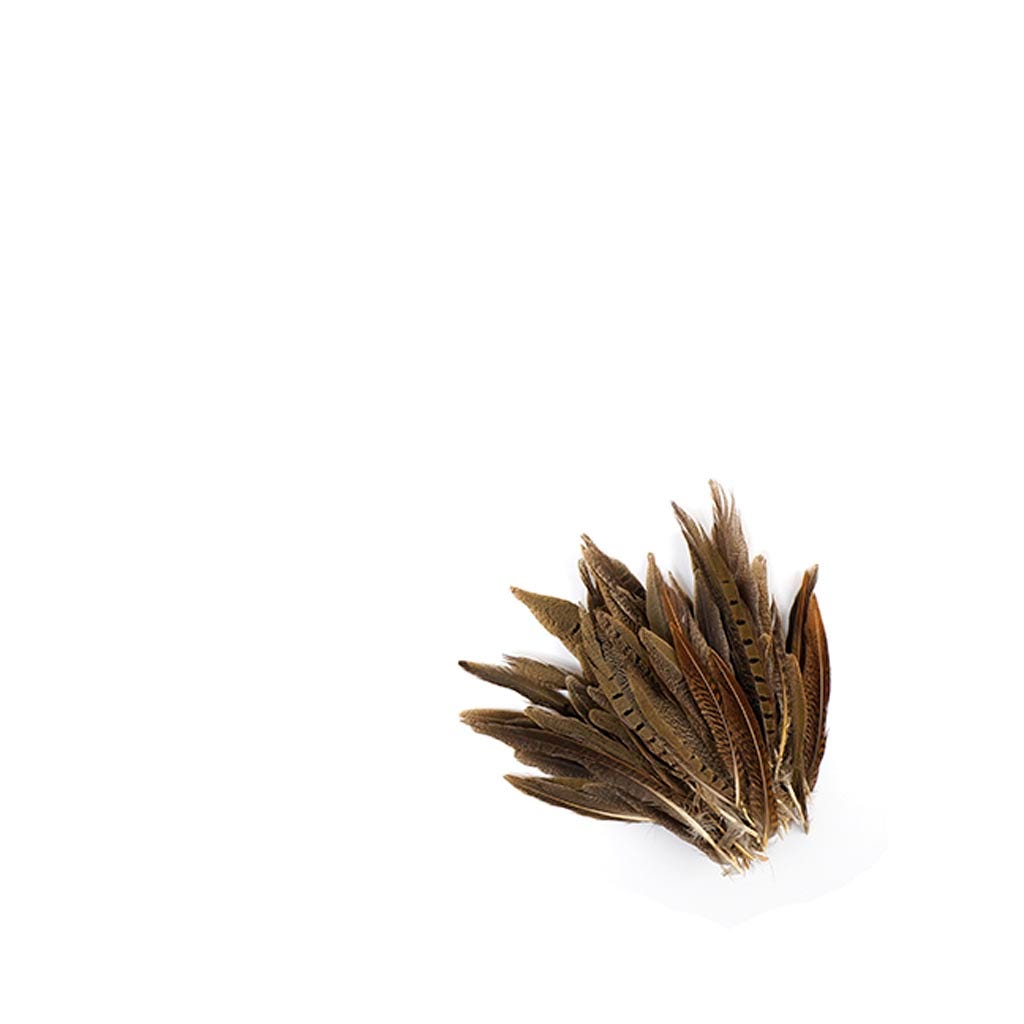 Assorted Pheasant Tails - Natural - 4 - 8’’ - Feathers