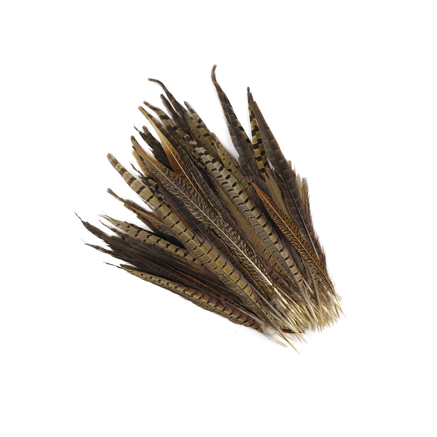 Assorted Pheasant Tails - Natural - Feathers