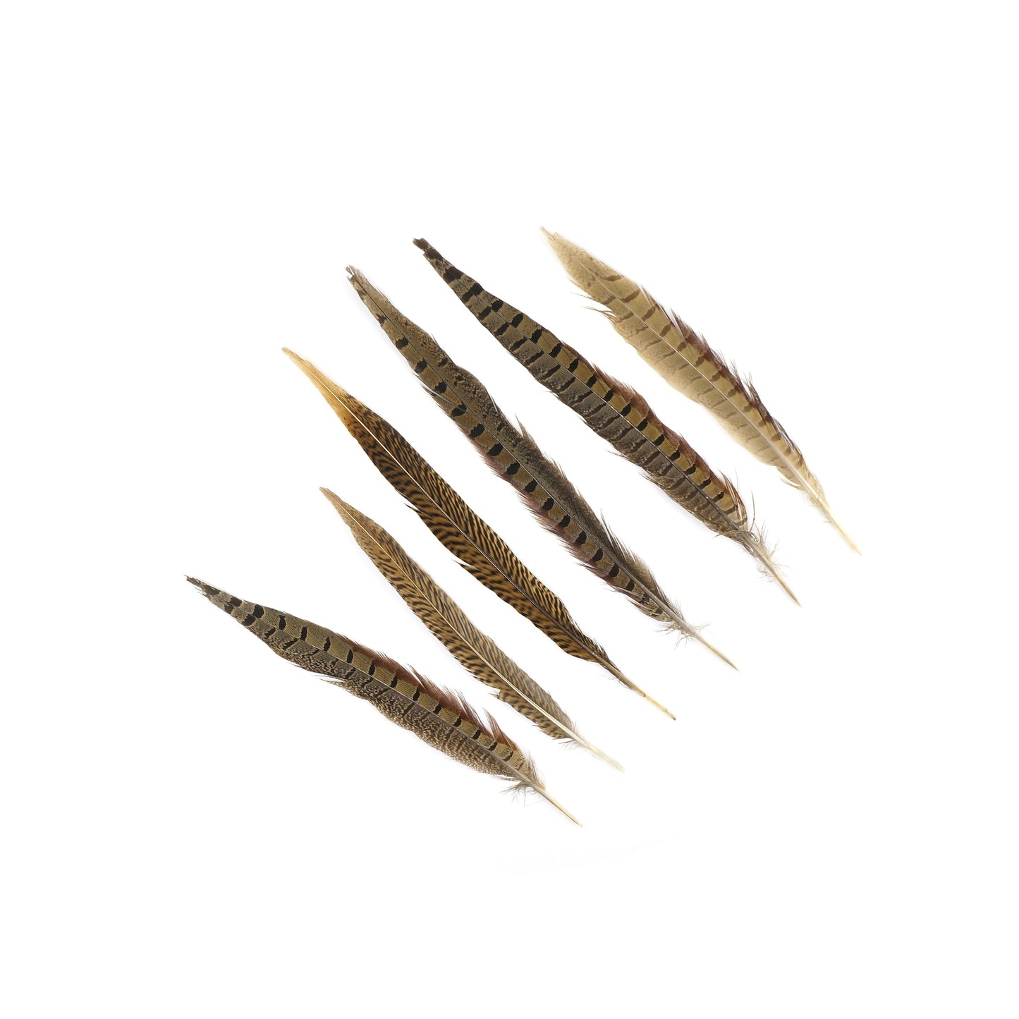 Assorted Pheasant Tails - Natural - Feathers