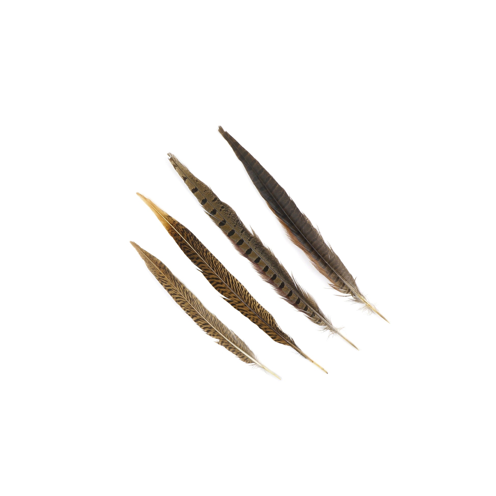 Assorted Pheasant Tails - Natural - Feathers