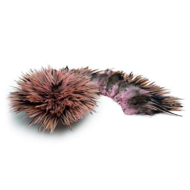 Badger Rooster Saddle Feathers Strung - 2’’ strip of 4-6’’ Rooster Feathers - Candy Pink - Feathers