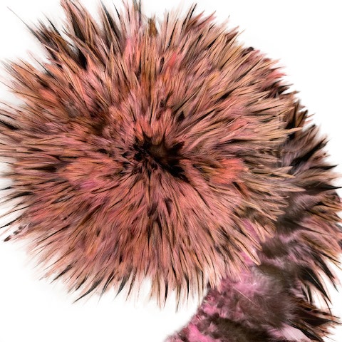 Badger Rooster Saddle Feathers Strung - 2’’ strip of 4-6’’ Rooster Feathers - Candy Pink - Feathers