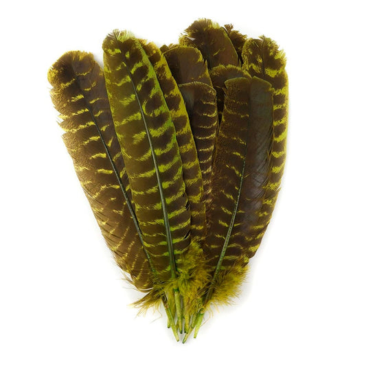 Barred Turkey Quills - Left Wing - 8-12 Inches - 12 pc - Fluorescent Chartreuse - Feathers