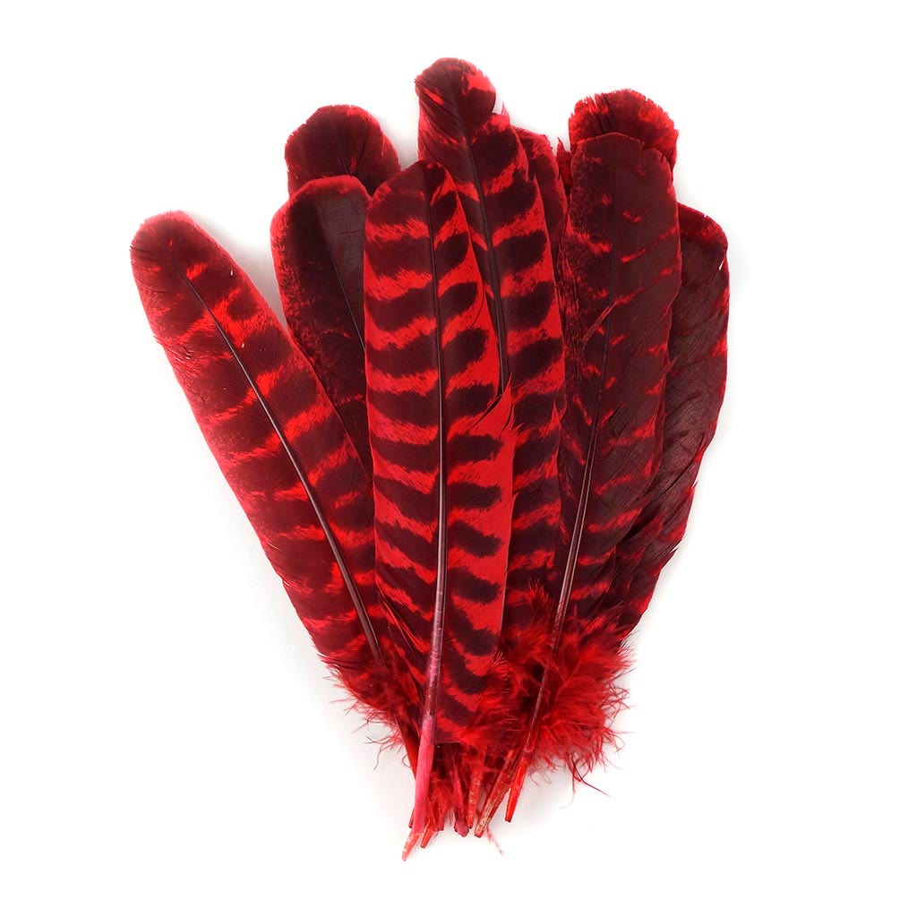 Barred Turkey Quills - Left Wing - 8-12 Inches - 12 pc - Hot Red - Feathers