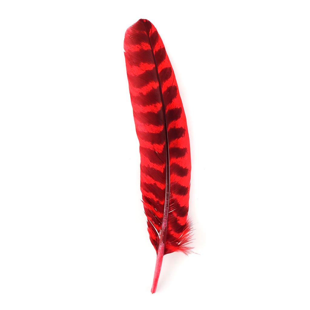 Barred Turkey Quills - Left Wing - 8-12 Inches - 12 pc - Hot Red - Feathers