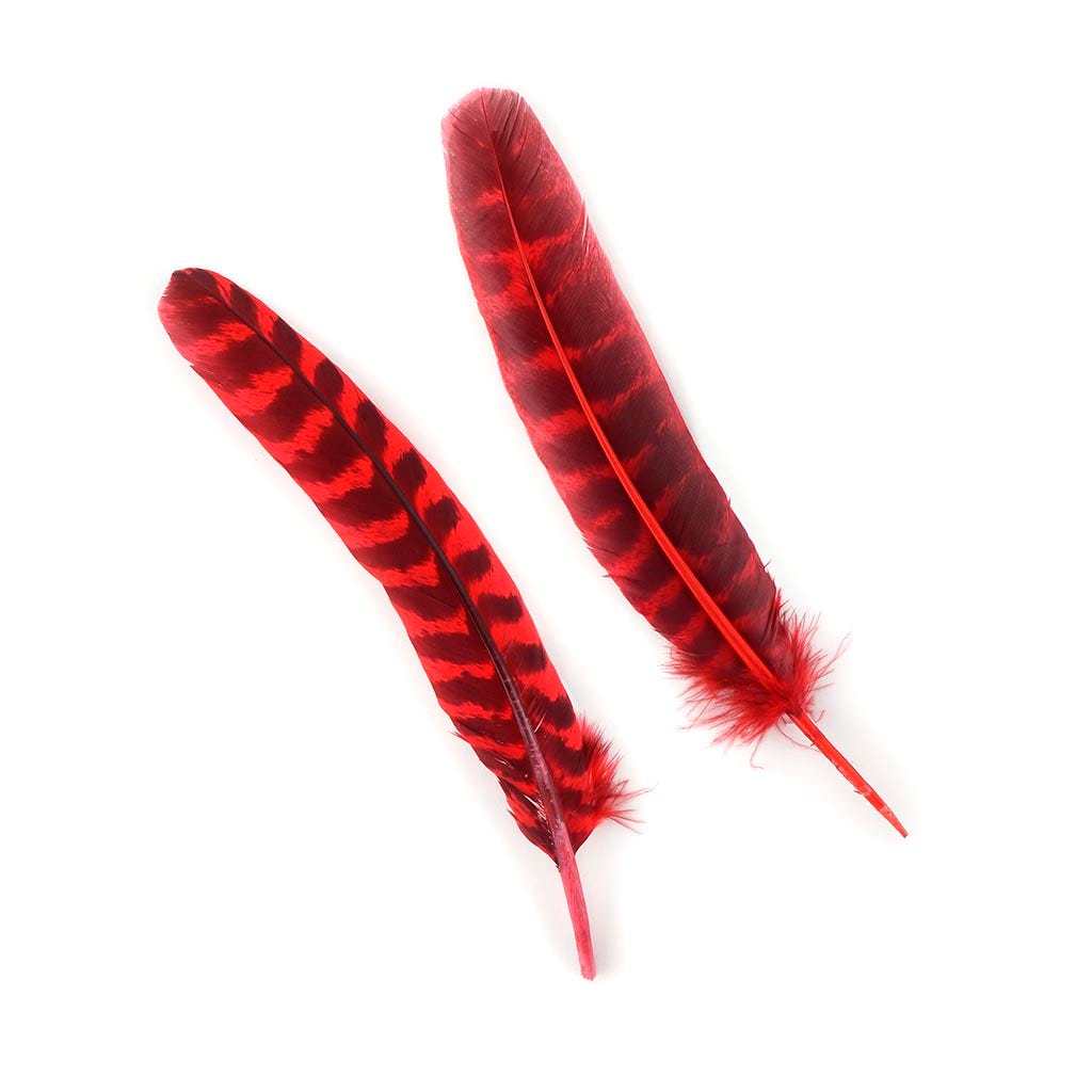 Barred Turkey Quills - Left Wing - 8-12 Inches - 12 pc - Hot Red - Feathers