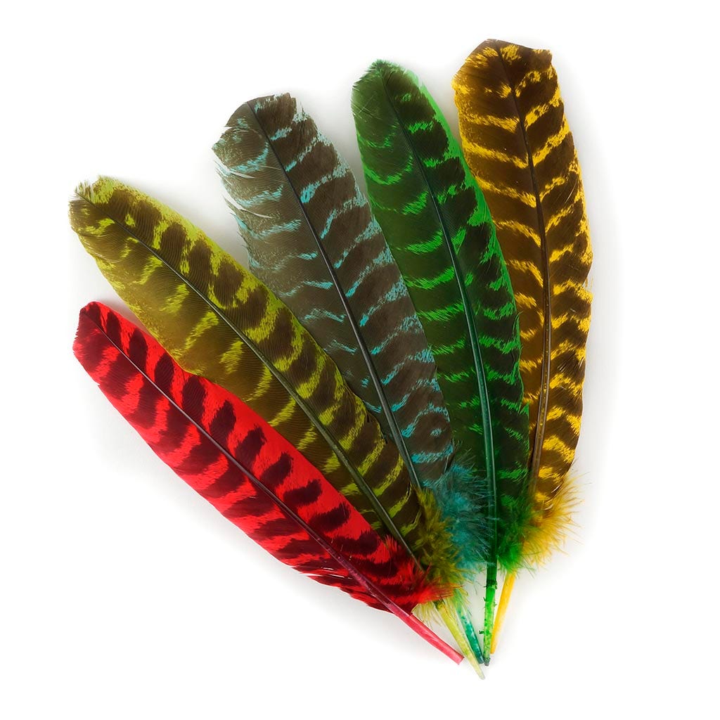 Barred Turkey Quills - Left Wing - 8-12 Inches - 12 pc - Hot Red - Feathers