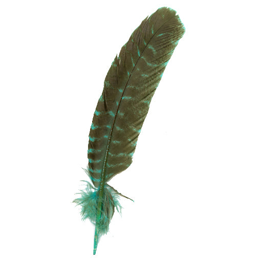 Barred Turkey Quills - Right Wing - 8-12 Inches - 12 pc - Fluorescent Blue - Feathers