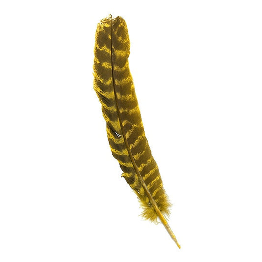 Barred Turkey Quills - Right Wing - 8-12 inches - 12 pc - Yellow - Feathers