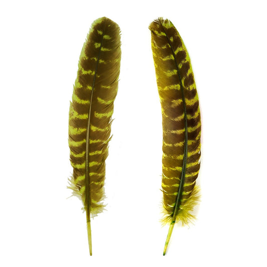 Barred Turkey Quills Wing Feathers 8-12’’ - Fluorescent Chartreuse - Feathers