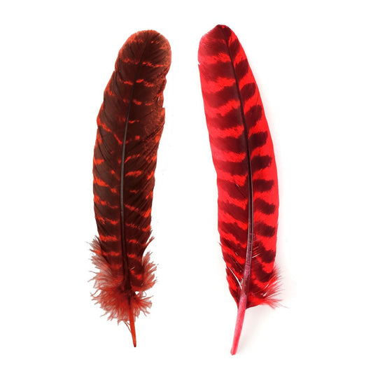 Barred Turkey Quills Wing Feathers 8-12’’ - Hot Red - Feathers