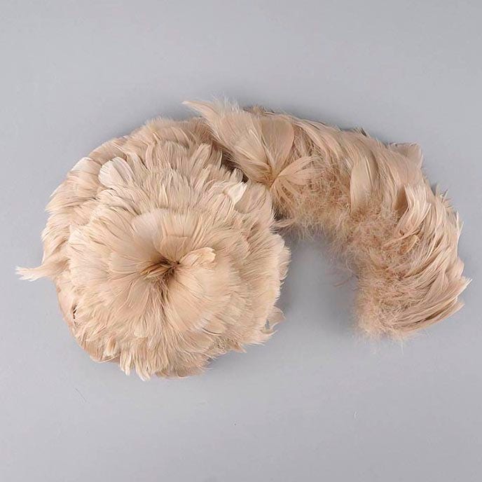 Goose Coquille Feathers Dyed Beige